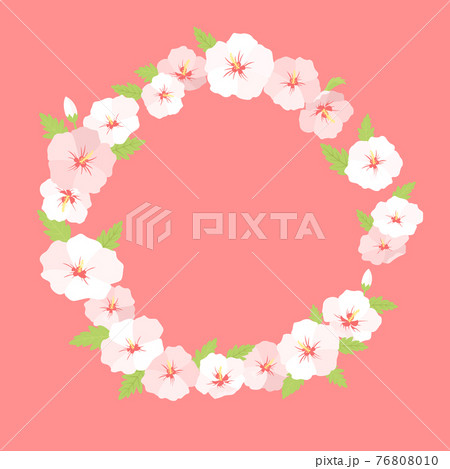 韓国花のイラスト素材