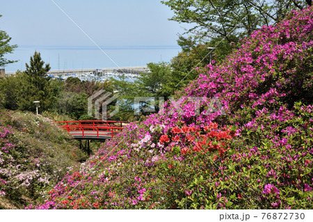 淡輪遊園の写真素材