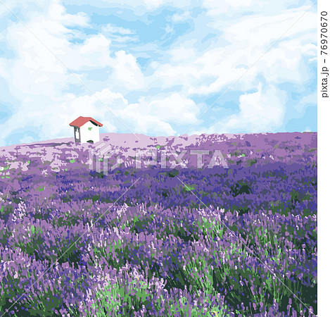 小屋のあるラベンダー畑のイラスト素材 [76970670] - PIXTA
