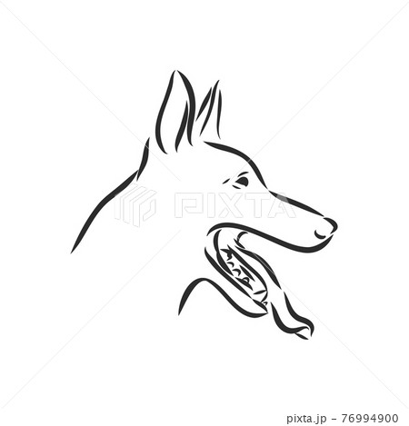 白黒の犬のイラスト素材