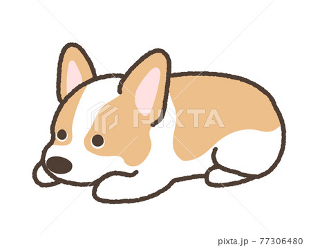 伏せ 犬のイラスト素材