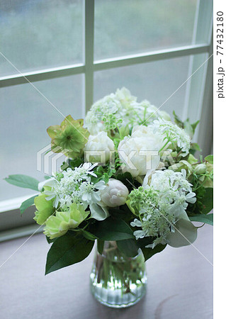 住まい クリスマスローズ 切花 切り花の写真素材