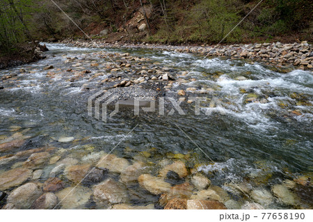 清い水の写真素材
