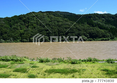 五月雨をあつめて早し最上川の写真素材