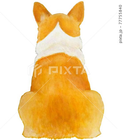 犬の後ろ姿のイラスト素材
