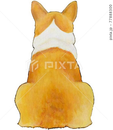 犬 後姿のイラスト素材