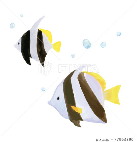 魚 熱帯魚 アイコン 海水魚のイラスト素材