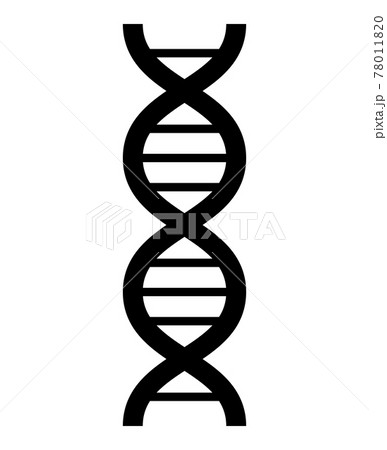 ベクター 遺伝子 デオキシリボ核酸 Dnaのイラスト素材