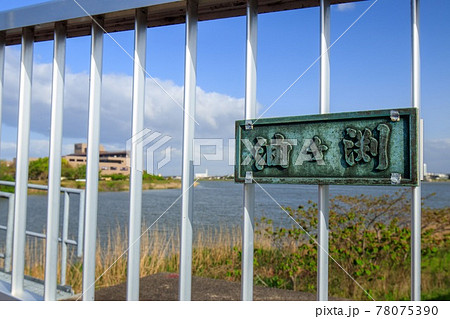 汚い川 水質汚染の写真素材