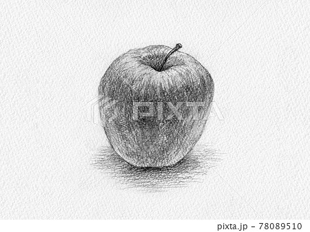 フルーツ リンゴ 白黒 スケッチのイラスト素材