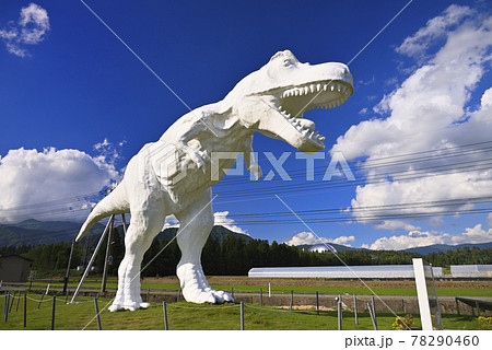 恐竜の写真素材集 ピクスタ