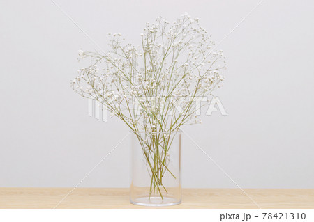 カスミソウ 花束の写真素材