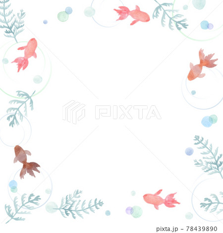 金魚 琉金 水草 水彩のイラスト素材