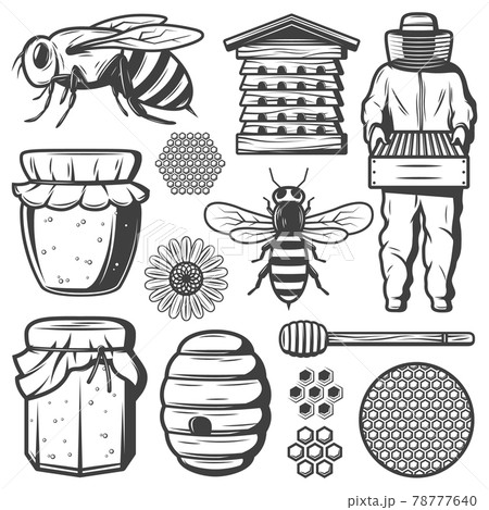 白黒ハチのイラスト素材