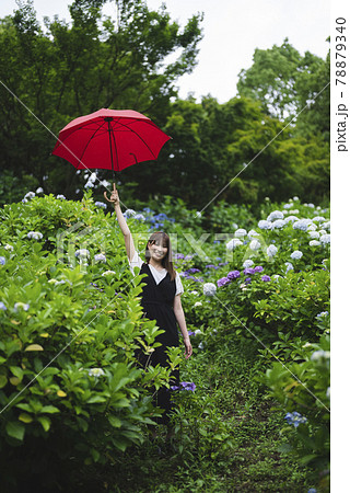 雨 傘 梅雨 美しいの写真素材