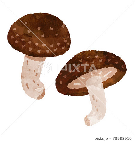 しいたけのイラスト素材集 ピクスタ