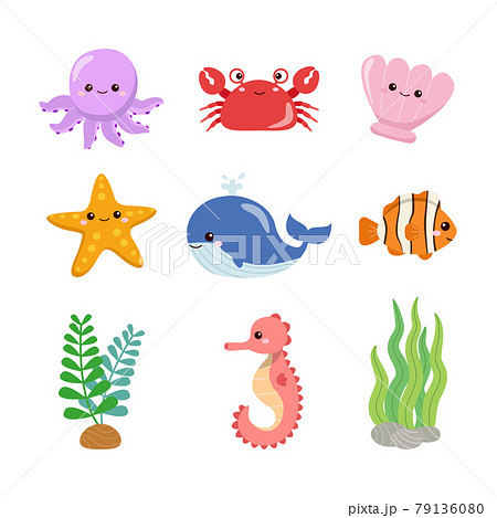 タツノオトシゴ イラスト かわいい 白バックのイラスト素材