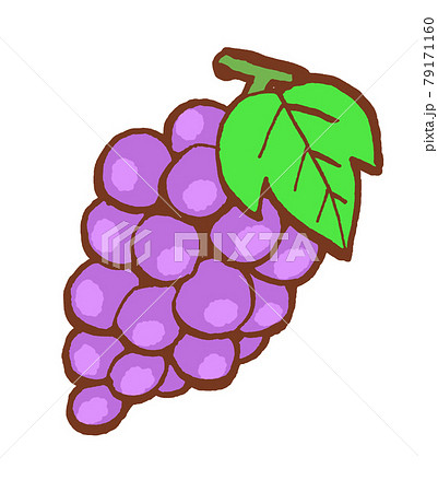 ぶどう イラスト 葡萄 手描きのイラスト素材
