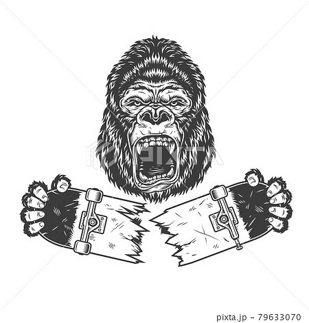 ゴリラ モノクロ 白色 白黒 ほ乳類のイラスト素材