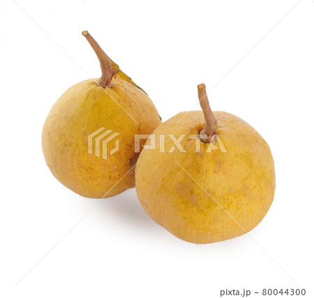 白い フルーツ ホワイト 果物の写真素材