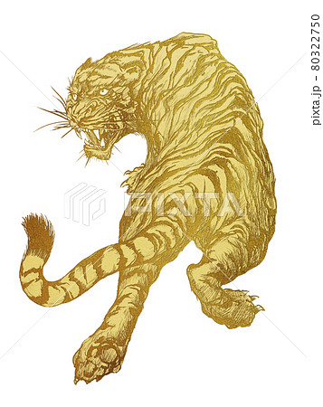 トラ 虎 とら 吠えるのイラスト素材