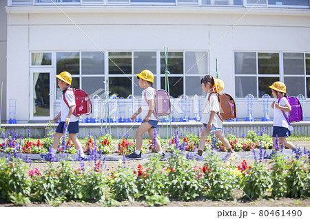 学校 小学校 学校花壇の写真素材