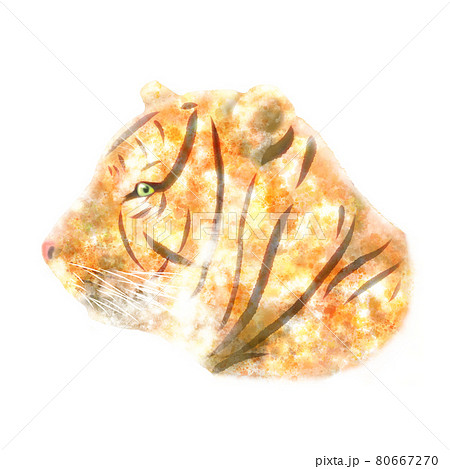 図鑑風のイラスト素材