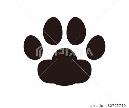犬の足跡 シルエットの写真素材