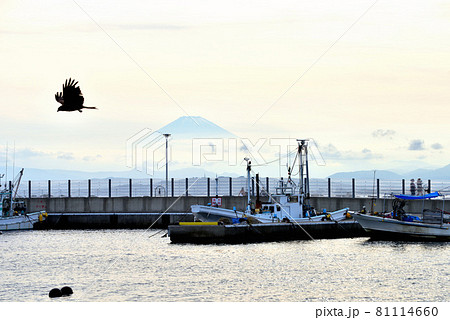 江ノ島 片瀬 西浜 ウッドデッキの写真素材 Pixta