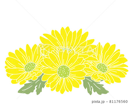 小菊のイラスト素材 小菊のイラスト素材
