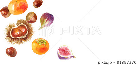 冬の食べ物のイラスト素材