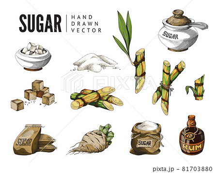 さとうきびのイラスト素材