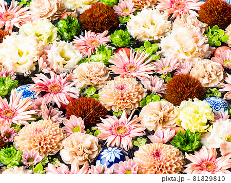 花手水の写真素材