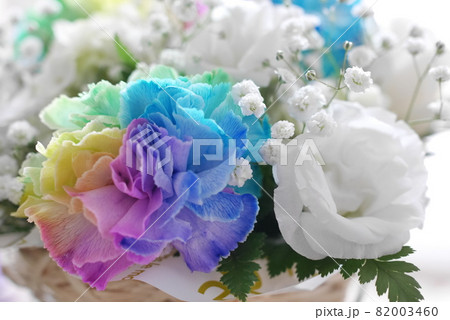 ブルーカーネーション カーネーション 花 花言葉の写真素材