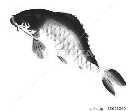 金魚 魚類 イラスト 墨絵の写真素材