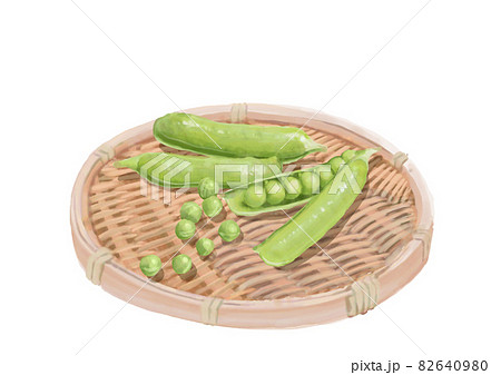 グリーンピースのイラスト素材