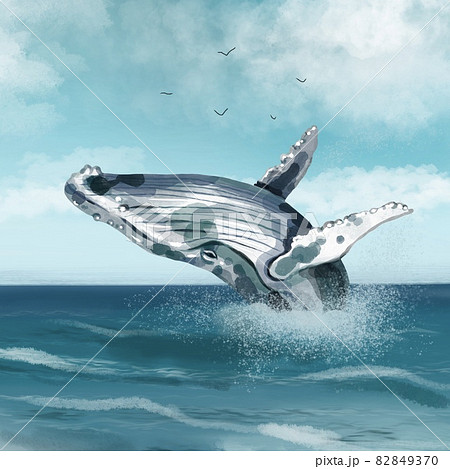 シロナガスクジラのイラスト素材