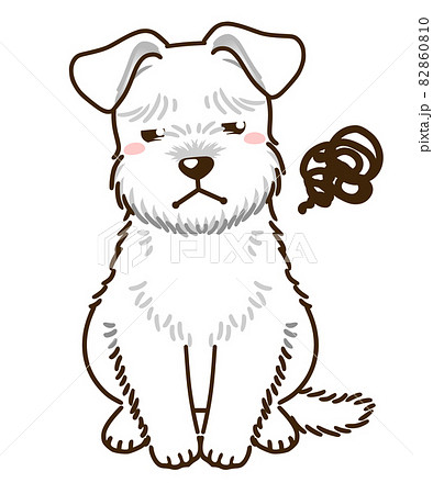 ミニチュアシュナウザーのイラスト素材