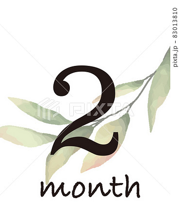 月齢カードのイラスト素材