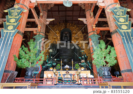 東大寺 奈良公園 奈良の大仏 修学旅行の写真素材