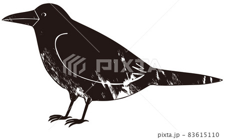 カラス シルエットのイラスト素材