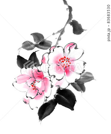 山茶花のイラスト素材