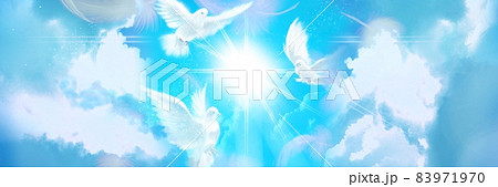 青空 鳩 空 鳥のイラスト素材 - PIXTA