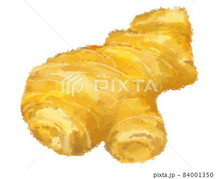 生姜のイラスト素材集 ピクスタ