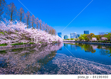 花筏の写真素材 - PIXTA