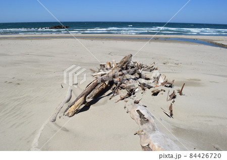 木 流木 漂流物 木材の写真素材 - PIXTA