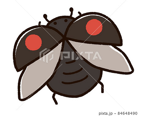 てんとう虫 昆虫 イラスト 飛ぶの写真素材