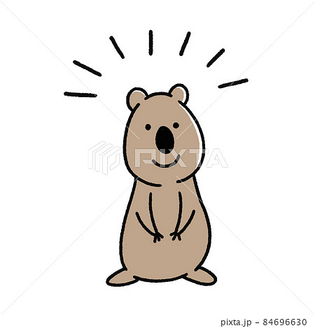 カンガルーのイラスト素材集 ピクスタ