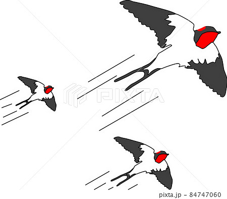 ツバメのイラスト素材 ツバメのイラスト素材