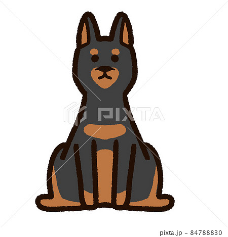 Doberman Illustrations Doberman Illustrations